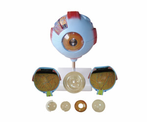BioLab Products